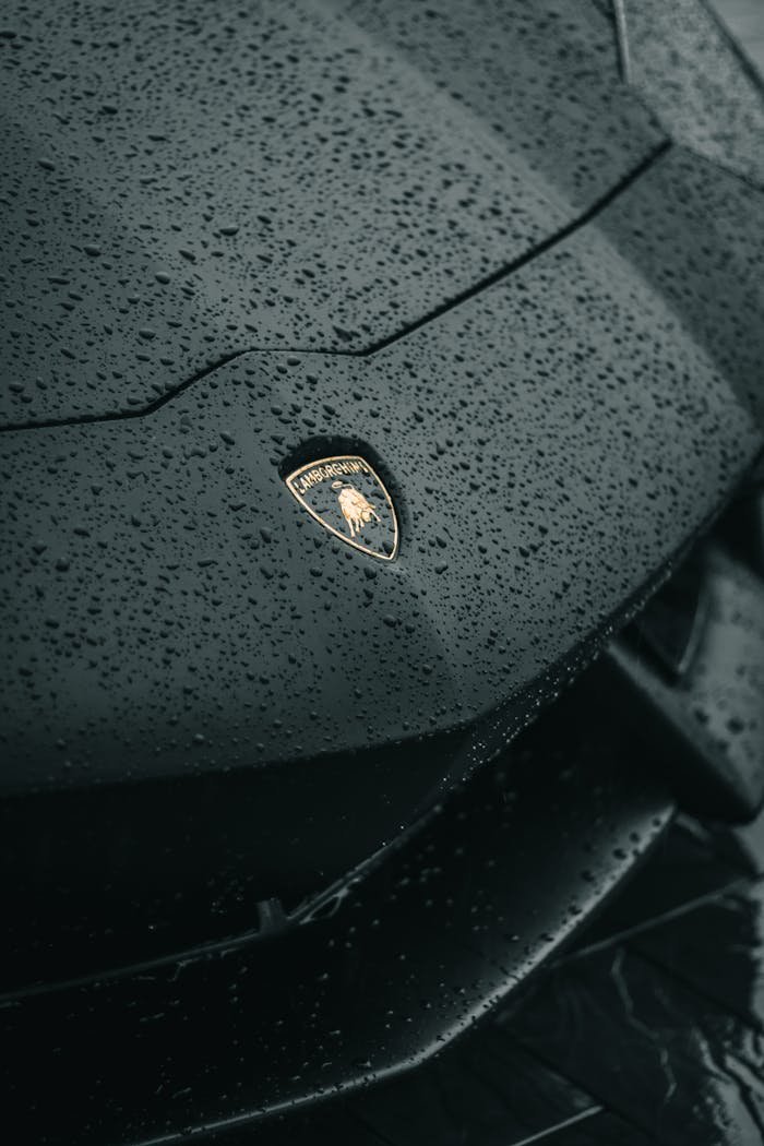 Detailed shot of Lamborghini emblem on a wet car hood showcasing luxury and elegance.